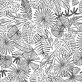 Vector seamless pattern with hand drawn tropical leaves on white color. Pattern on the theme of nature, tropics, jungle Royalty Free Stock Photo